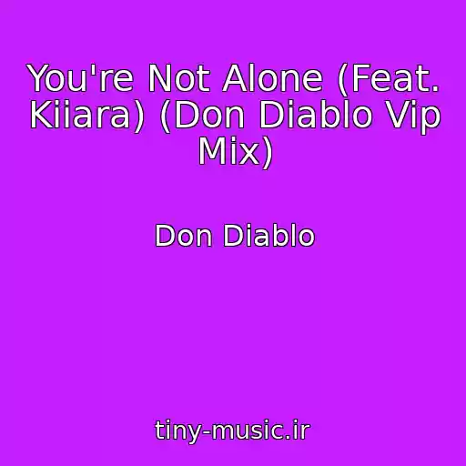 کاور آهنگ You're Not Alone (Feat. Kiiara) (Don Diablo Vip Mix) از Don Diablo