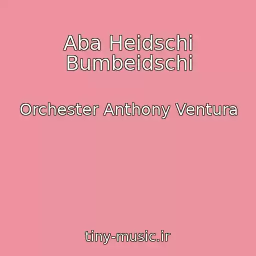 کاور آهنگ Aba Heidschi Bumbeidschi از Orchester Anthony Ventura