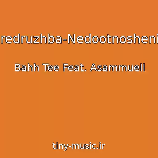 کاور آهنگ Peredruzhba-Nedootnosheniya از Bahh Tee Feat. Asammuell