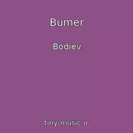 کاور آهنگ Bumer از Bodiev