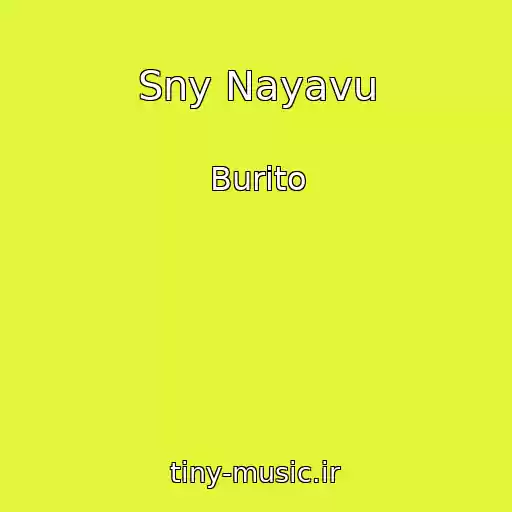 کاور آهنگ Sny Nayavu از Burito