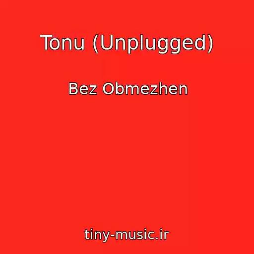کاور آهنگ Tonu (Unplugged) از Bez Obmezhen
