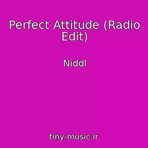 کاور آهنگ Perfect Attitude (Radio Edit) از Niddl