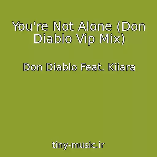 کاور آهنگ You're Not Alone (Don Diablo Vip Mix) از Don Diablo Feat. Kiiara