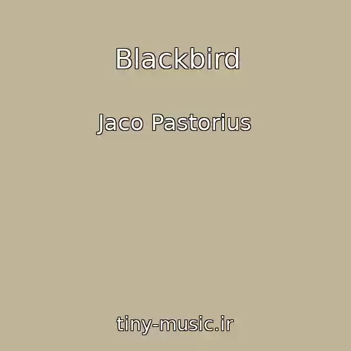 کاور آهنگ Blackbird از Jaco Pastorius