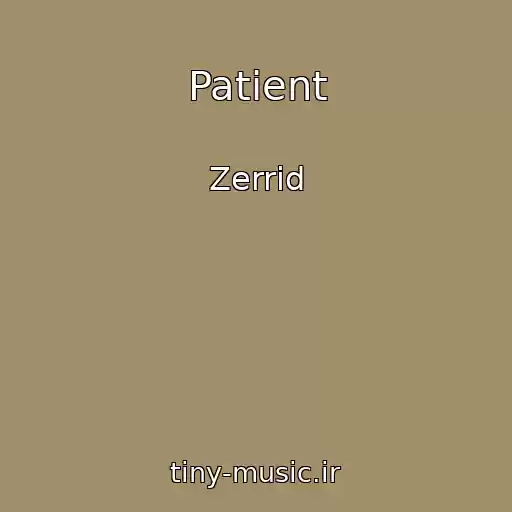 کاور آهنگ Patient از Zerrid