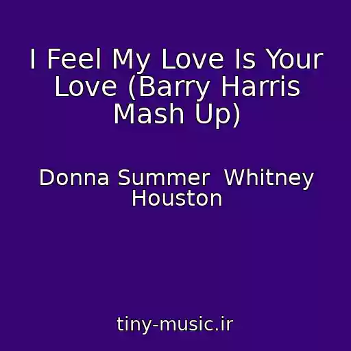 کاور آهنگ I Feel My Love Is Your Love (Barry Harris Mash Up) از Donna Summer  Whitney Houston
