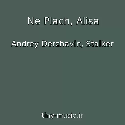 کاور آهنگ Ne Plach, Alisa از Andrey Derzhavin, Stalker