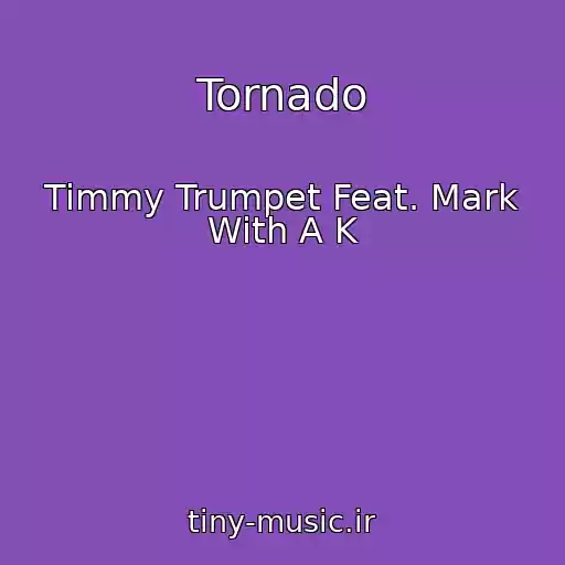 کاور آهنگ Tornado از Timmy Trumpet Feat. Mark With A K
