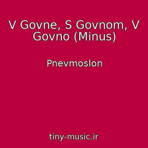 کاور آهنگ V Govne, S Govnom, V Govno (Minus) از Pnevmoslon