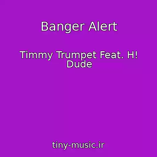 کاور آهنگ Banger Alert از Timmy Trumpet Feat. H! Dude