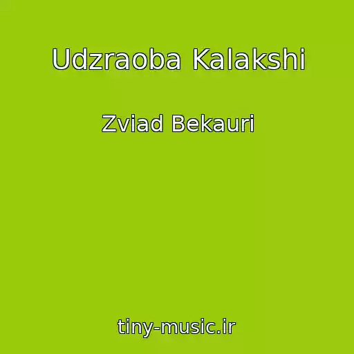 کاور آهنگ Udzraoba Kalakshi از Zviad Bekauri