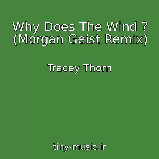 کاور آهنگ Why Does The Wind ? (Morgan Geist Remix) از Tracey Thorn