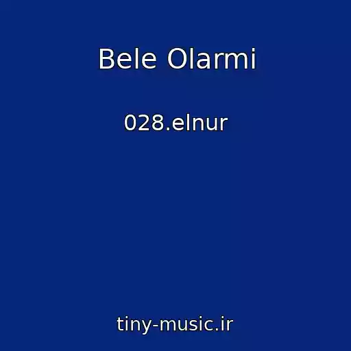 کاور آهنگ Bele Olarmi از 028.elnur