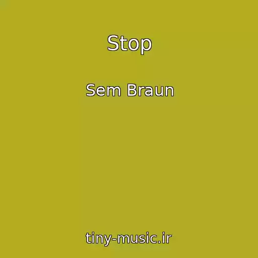 کاور آهنگ Stop از Sem Braun
