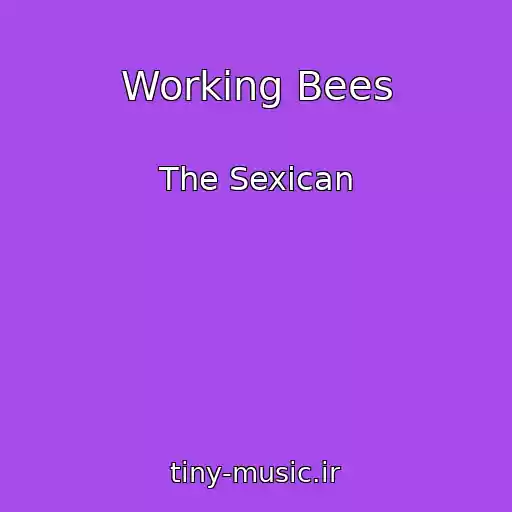کاور آهنگ Working Bees از The Sexican