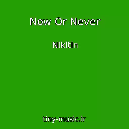 کاور آهنگ Now Or Never از Nikitin