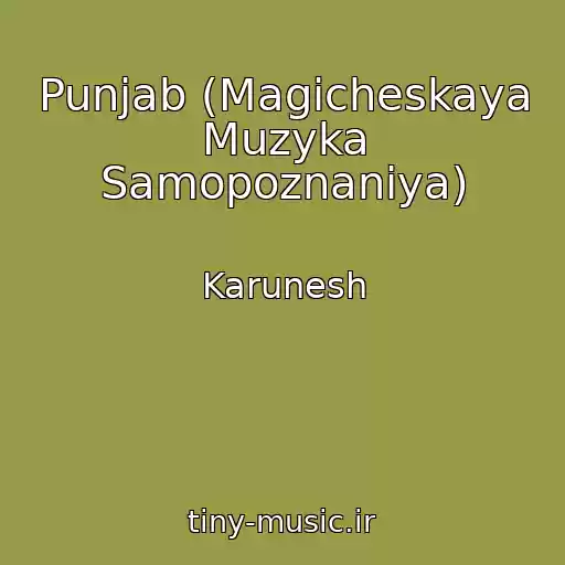 کاور آهنگ Punjab (Magicheskaya Muzyka Samopoznaniya) از Karunesh