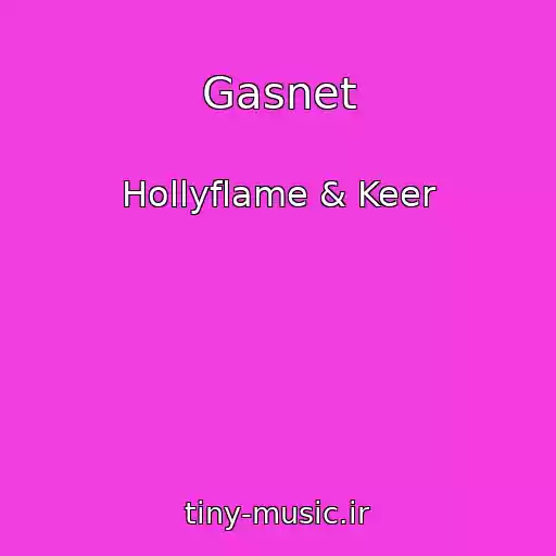 کاور آهنگ Gasnet از Hollyflame & Keer