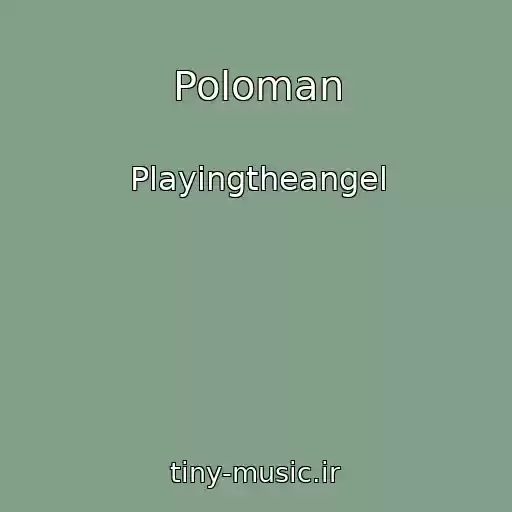 کاور آهنگ Poloman از Playingtheangel