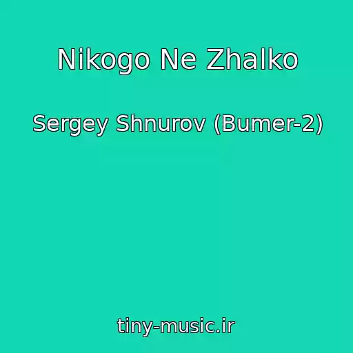 کاور آهنگ Nikogo Ne Zhalko از Sergey Shnurov (Bumer-2)