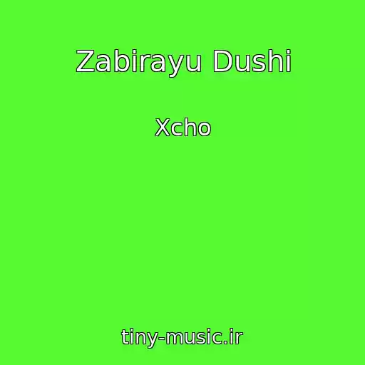 کاور آهنگ Zabirayu Dushi از Xcho