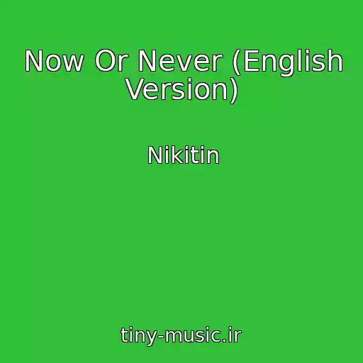 کاور آهنگ Now Or Never (English Version) از Nikitin
