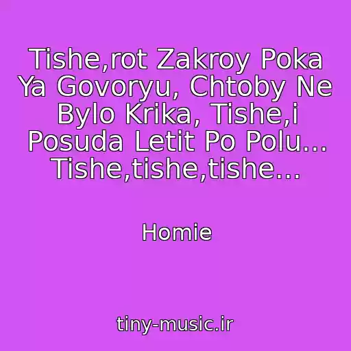 کاور آهنگ Tishe,rot Zakroy Poka Ya Govoryu, Chtoby Ne Bylo Krika, Tishe,i Posuda Letit Po Polu... Tishe,tishe,tishe... از Homie