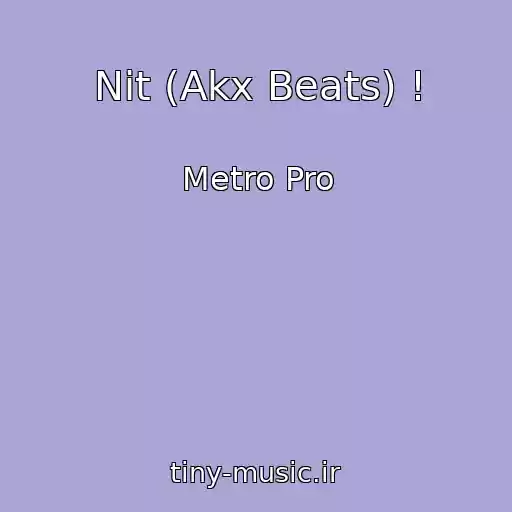 کاور آهنگ Nit (Akx Beats) ! از Metro Pro