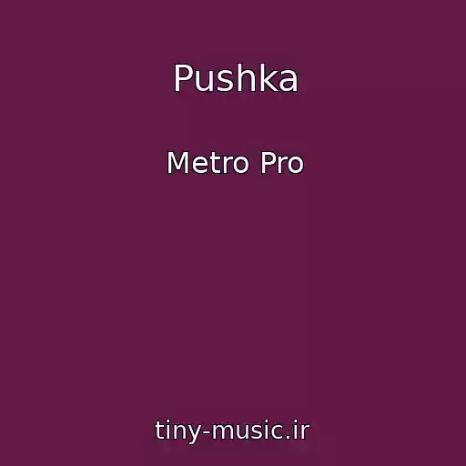 کاور آهنگ Pushka از Metro Pro
