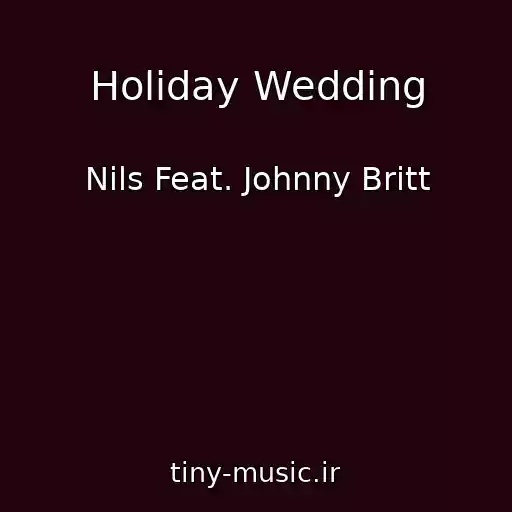 کاور آهنگ Holiday Wedding از Nils Feat. Johnny Britt