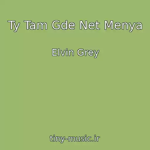 کاور آهنگ Ty Tam Gde Net Menya از Elvin Grey