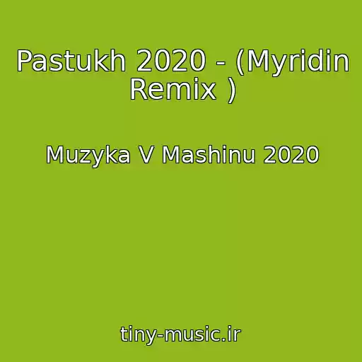 کاور آهنگ Pastukh 2020 - (Myridin Remix ) از Muzyka V Mashinu 2020