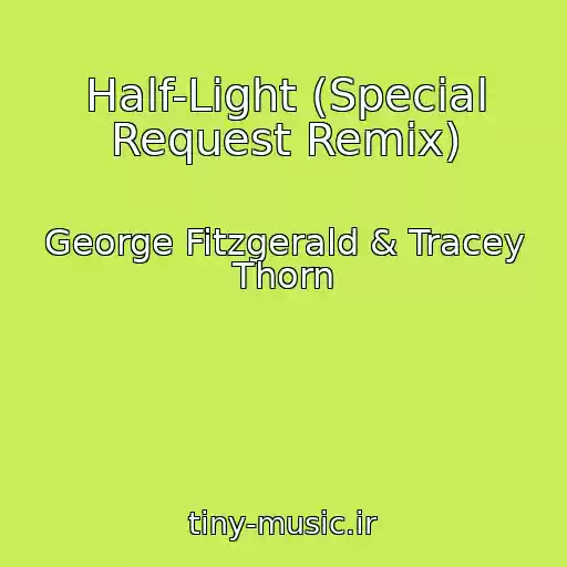 کاور آهنگ Half-Light (Special Request Remix) از George Fitzgerald & Tracey Thorn