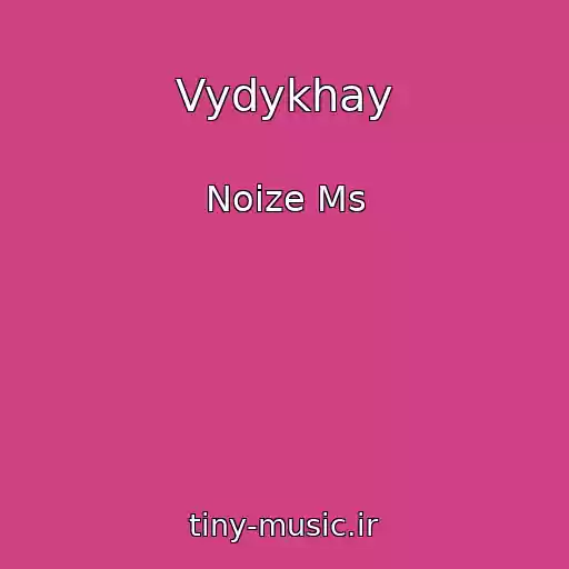 کاور آهنگ Vydykhay از Noize Ms
