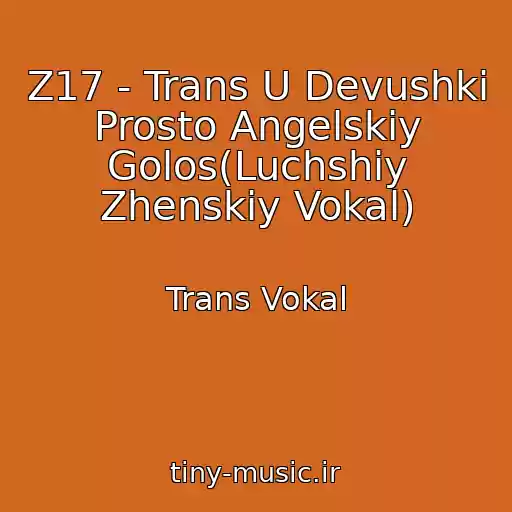کاور آهنگ Z17 - Trans U Devushki Prosto Angelskiy Golos(Luchshiy Zhenskiy Vokal) از Trans Vokal