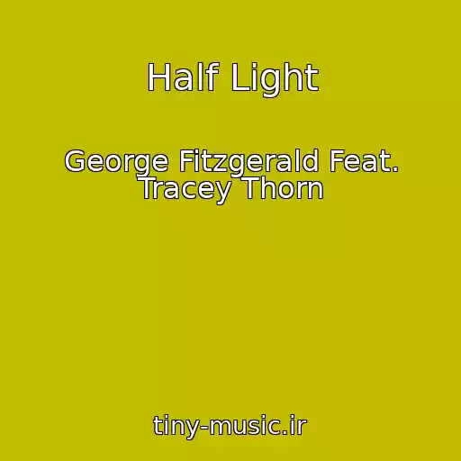کاور آهنگ Half Light از George Fitzgerald Feat. Tracey Thorn