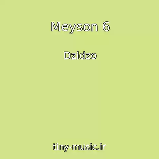 کاور آهنگ Meyson 6 از Dzіdzo