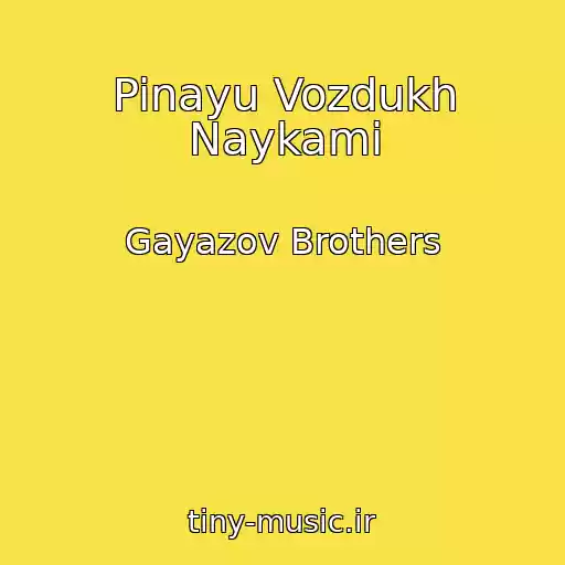 کاور آهنگ Pinayu Vozdukh Naykami از Gayazov Brothers