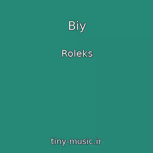 کاور آهنگ Biy از Roleks