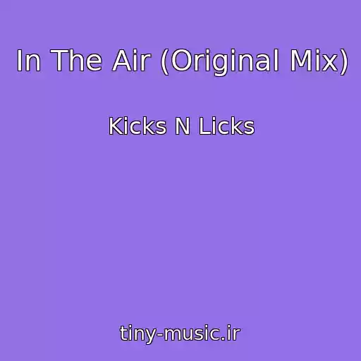 کاور آهنگ In The Air (Original Mix) از Kicks N Licks