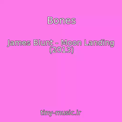 کاور آهنگ Bones از James Blunt - Moon Landing (2013)
