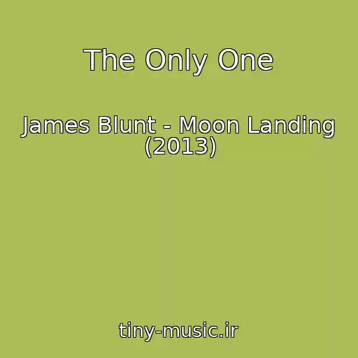 کاور آهنگ The Only One از James Blunt - Moon Landing (2013)