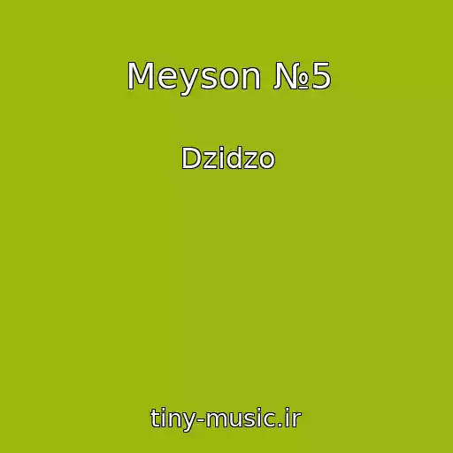 کاور آهنگ Meyson №5 از Dzіdzo