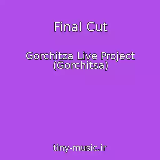 کاور آهنگ Final Cut از Gorchitza Live Project (Gorchitsa)