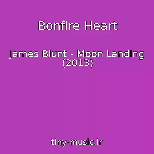 کاور آهنگ Bonfire Heart از James Blunt - Moon Landing (2013)