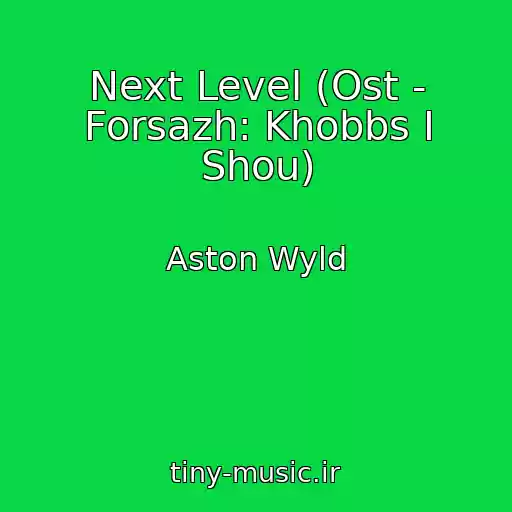 کاور آهنگ Next Level (Ost - Forsazh: Khobbs I Shou) از Aston Wyld