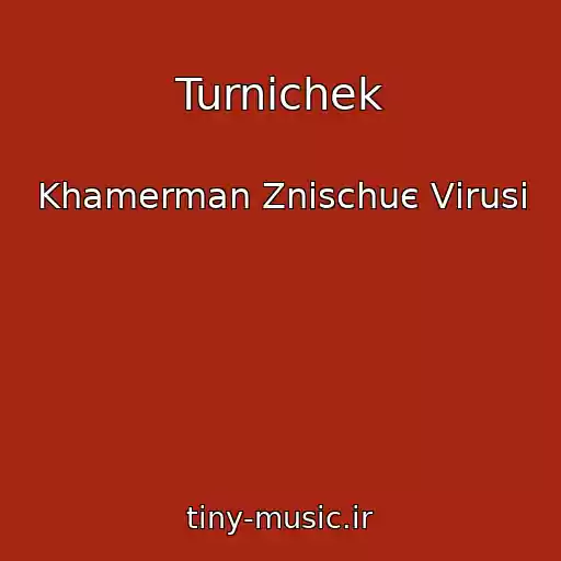 کاور آهنگ Turnichek از Khamerman Znischuє Vіrusi