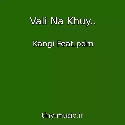کاور آهنگ Vali Na Khuy.. از Kangi Feat.pdm