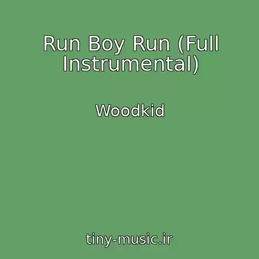 کاور آهنگ Run Boy Run (Full Instrumental) از Woodkid